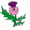 Davie Thistle's Avatar