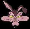 Wile E Coyote's Avatar